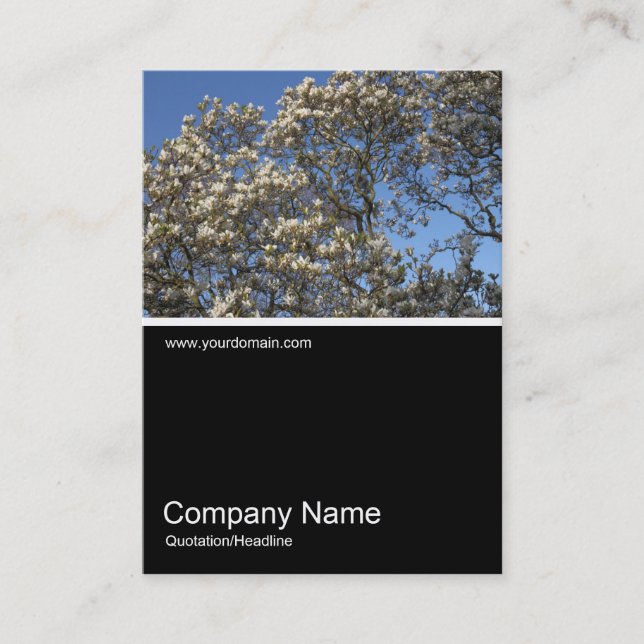 Half&Half Photo 0315 - Magnolia Tree in Blossom Business Card (Front)