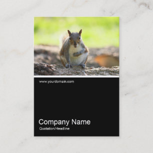 Half&Half Photo 0321 - Grey Squirrel Business Card
