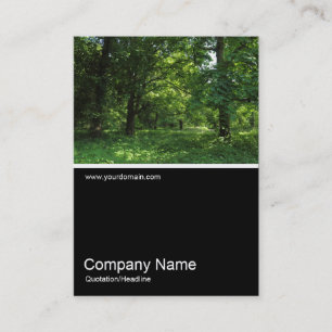 Half&Half Photo 0322 - Spring in the Woods 01 Business Card