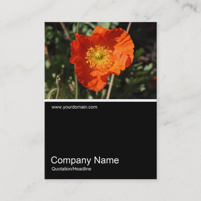 Half&Half Photo 0325 - Welsh Poppy (Orange) Business Card (Front)