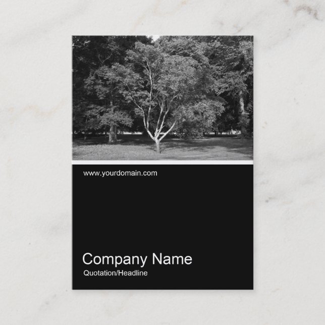 Half&Half Photo 0329 - Magnolia Tree in Summer Business Card (Front)