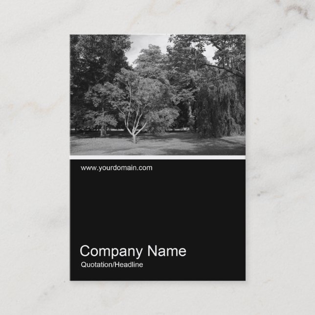 Half&Half Photo 0330 - Trees in Summer Business Card (Front)