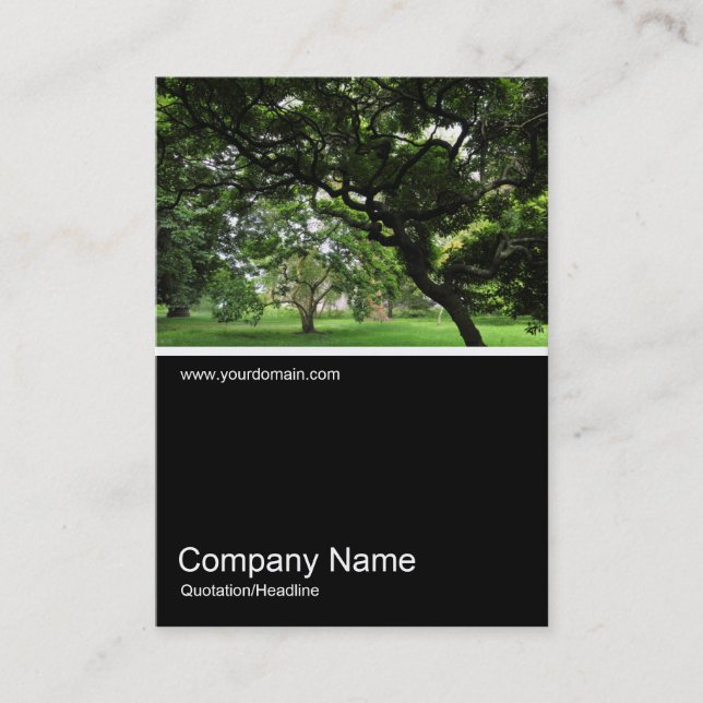 Half&Half Photo 0332 - Amongst Magnolia Trees Business Card (Front)