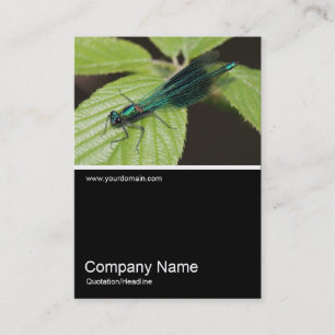 Half&Half Photo 0333 - Dragonfly Business Card