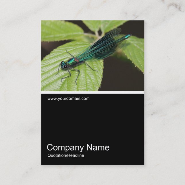 Half&Half Photo 0333 - Dragonfly Business Card (Front)