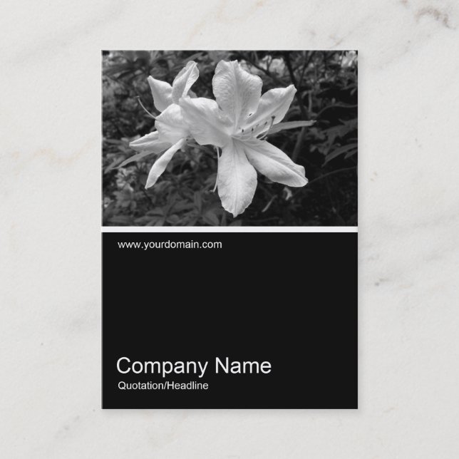 Half&Half Photo 034 - Azaleas Business Card (Front)