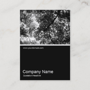 Half&Half Photo 035 - In the Trees Business Card