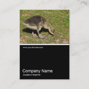 Half&Half Photo 0367 - Gosling Business Card