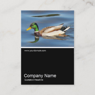 Half&Half Photo 0371 - Mallard Geese Business Card