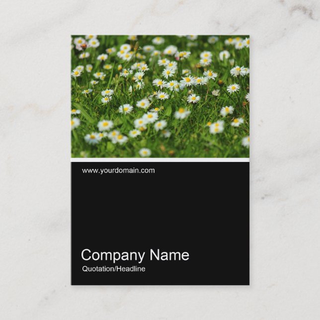 Half&Half Photo 0385 - Daisy Meadow Business Card (Front)