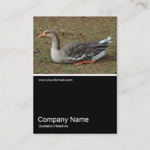 Half&Half Photo 0390 - Greylag Swan Goose Cross Business Card