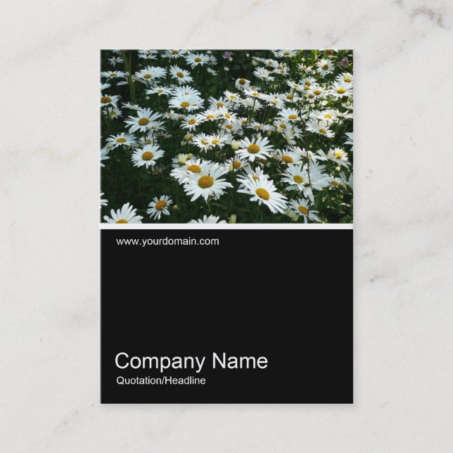 Half&Half Photo 061 - Daisies Business Card (Front)