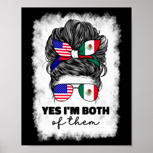 Half Mexican And American Mexico America Usa Flag Poster