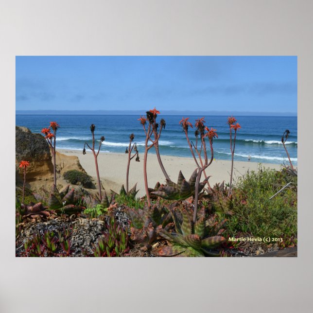 Half Moon Bay & Aloe Vera Private Beach Poster (Front)