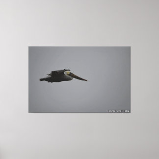 Half Moon Bay Fierce Pelican III - Wrapped Canvas