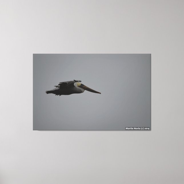 Half Moon Bay Fierce Pelican III - Wrapped Canvas (Front)