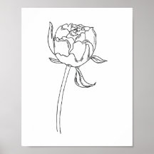 Half open peony flower bud drawing on poster