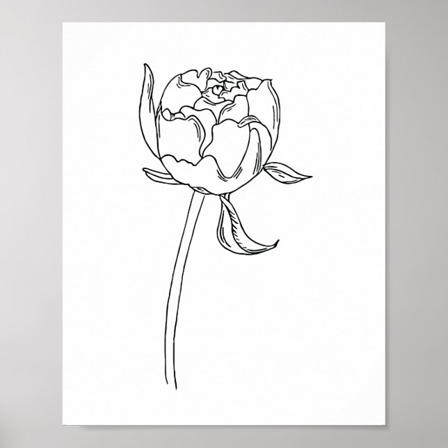Half open peony flower bud drawing on poster (Front)