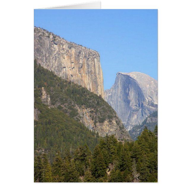 Halfdome Yosemite Forests (Front)