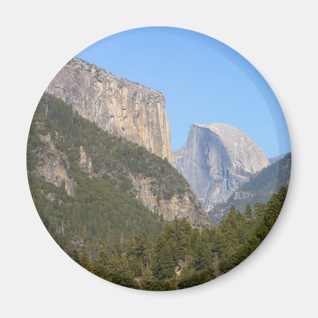 Halfdome Yosemite Forests Magnet (Front)
