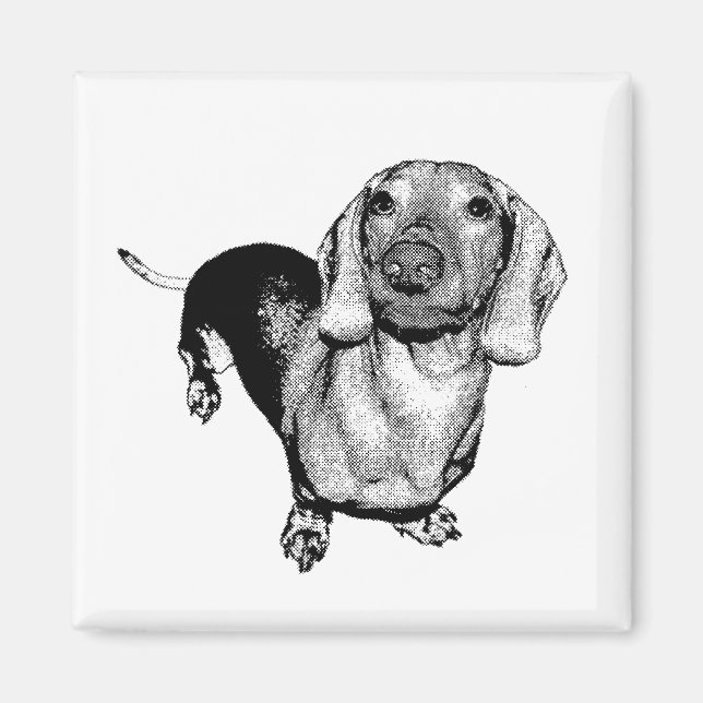 Halftone Black and White Photo Dachsund Doxie Magnet (Front)