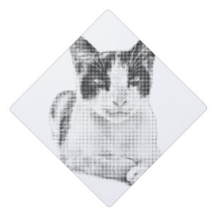 Halftone Calico Charm Graduation Cap Topper