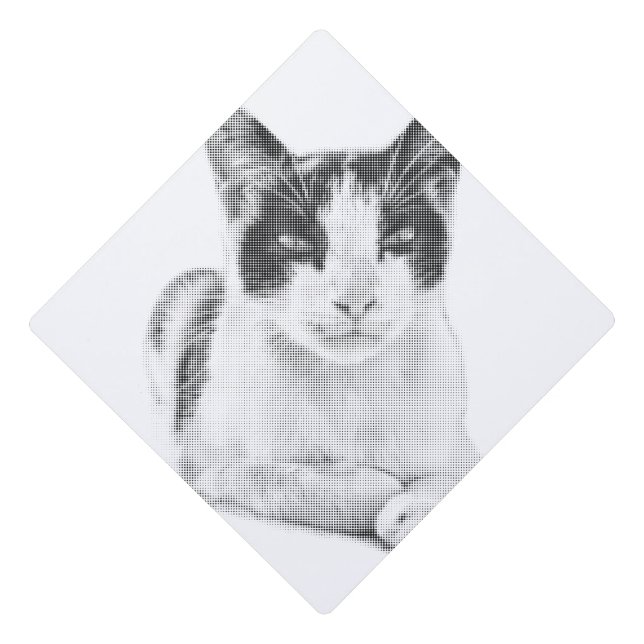Halftone Calico Charm Graduation Cap Topper (Front)