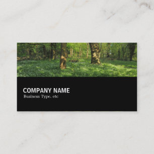 Halfway 0145 - Spring in the Woods Business Card