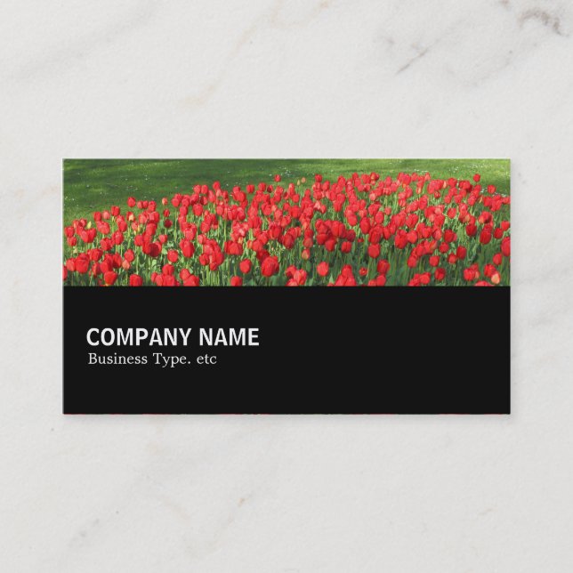 Halfway 0154 - Bed of Red Tulips 02 Business Card (Front)
