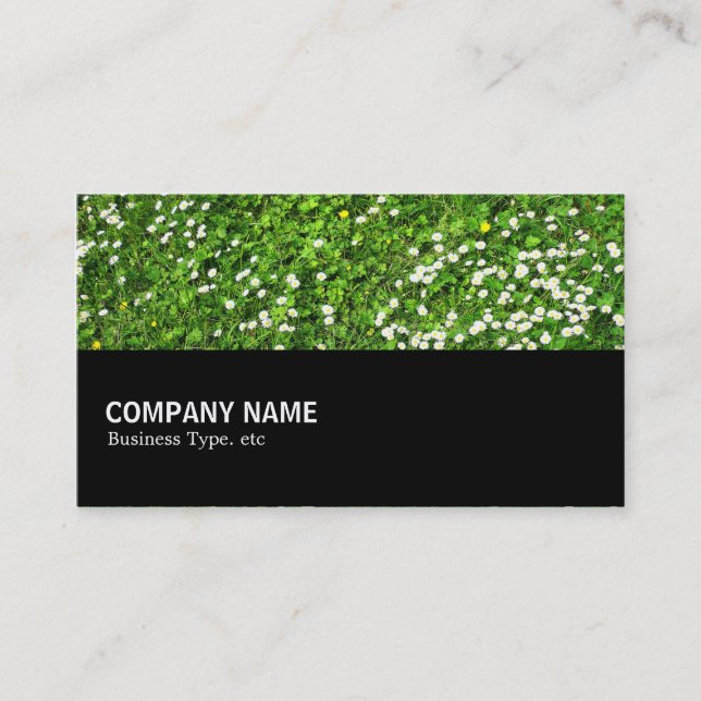 Halfway 030 - Daisies Business Card (Front)