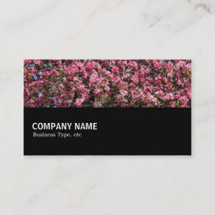 Halfway - Pink Cherry Blossom Business Card