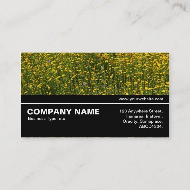 Halfway V3 037 - Bed of Yellow Daisies Business Card (Front)