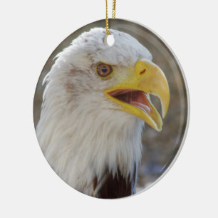 Haliaeetus leucocephalus ceramic ornament