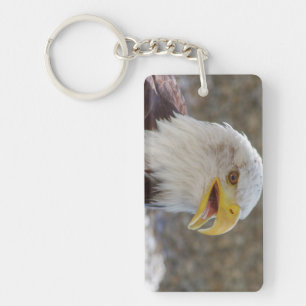 Haliaeetus leucocephalus keychain