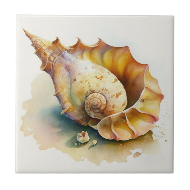 Haliotis Conch Shell Watercolor Tile (Front)