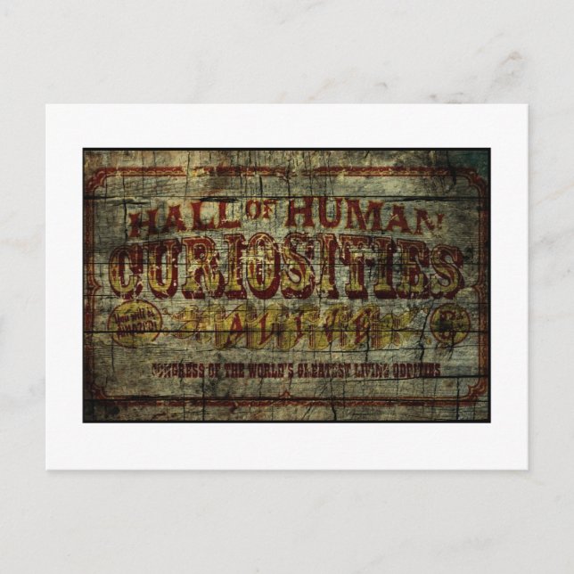 Hall of Human Curiosities Vintage Banner Postcard (Front)