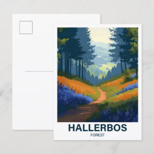 Hallerbos Forest Halle Brabant Flandria Belgia Postcard