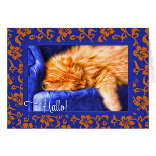 Hallo ! Langue allemande Orange Tabby Cat Bleu