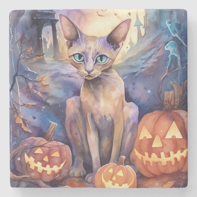 Halloween Abyssinian Cat With Pumpkin Scary Stone Coaster (Front)