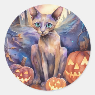Halloween Abyssinian Cat With Pumpkins Scary Classic Round Sticker
