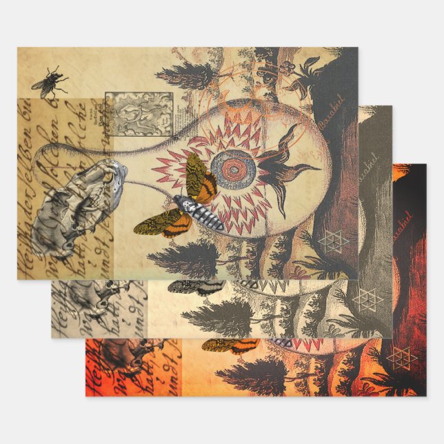 Halloween Alchemy Moth Animal Skull Wrapping Paper Sheet (Set)