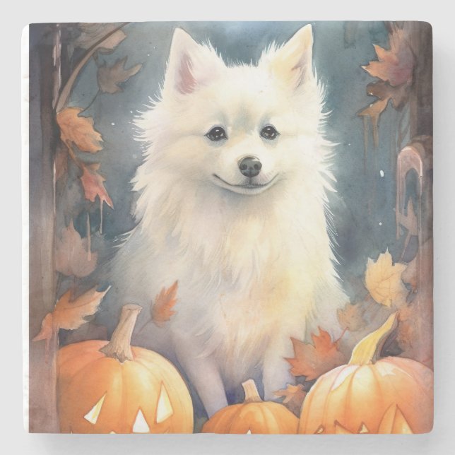 Halloween American Eskimo With Pumpkins Scary Stone Coaster (Front)