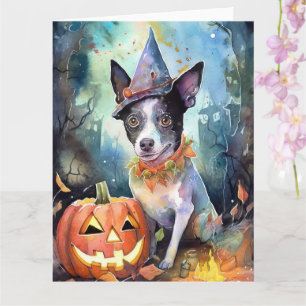 Halloween Australian Cattle With Pumpkins Scary Card