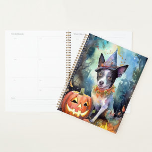 Halloween Australian Cattle With Pumpkins Scary Planner