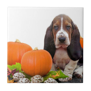 Halloween Basset Hound Ceramic Tile