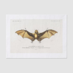 Halloween bat decoupage tissue paper