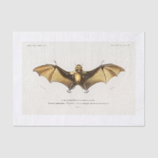 Halloween bat decoupage tissue paper