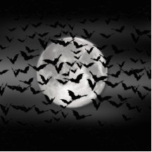 Halloween Bats And A Full Moon