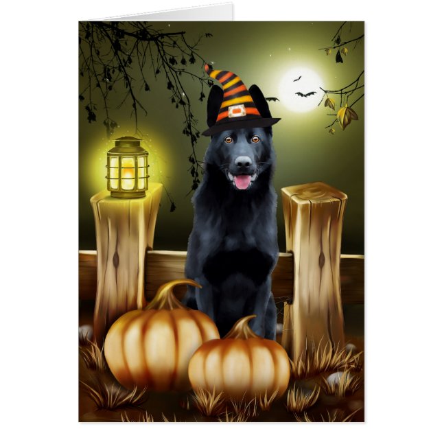 Halloween berger allemand noir (Devant)