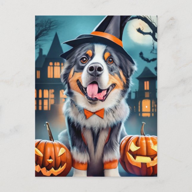 Halloween Bernese Mountain Dog Postcard (Front)